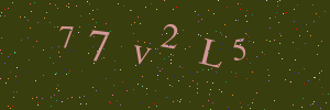 Validation image