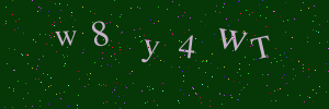 Validation image
