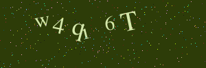 Validation image