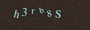 Validation image