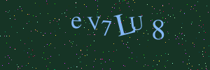 Validation image