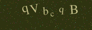 Validation image